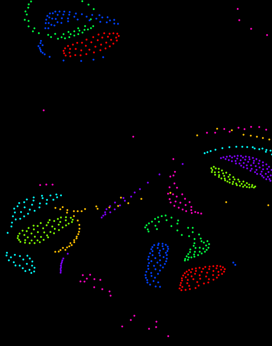 Particle Life